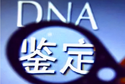 玉溪迁户亲子鉴定到哪里，玉溪落户亲子鉴定费用大概多少钱