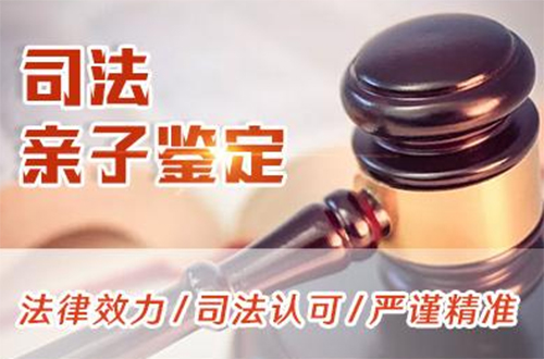 玉溪司法亲子鉴定的流程,