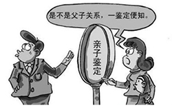 玉溪如何选择正规的亲子鉴定机构，玉溪正规的DNA亲子鉴定费用是多少钱