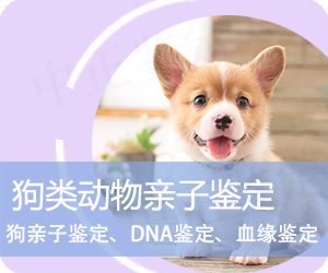 玉溪狗类动物亲子鉴定