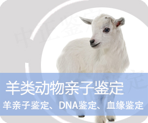 玉溪羊类动物亲子鉴定