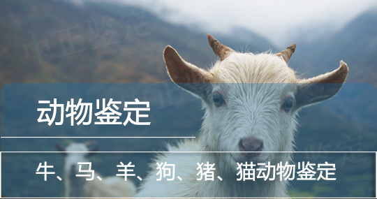 玉溪动物鉴定