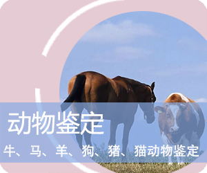 玉溪动物鉴定