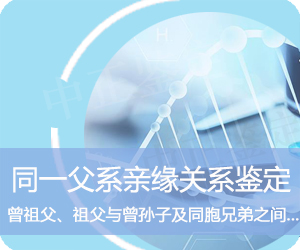 玉溪同一父系亲缘鉴定